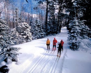  Skiing de senderismo en Mountain School -9999- Ski Touring in the Alps
